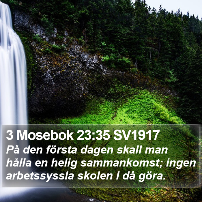 3 Mosebok 23:35 SV1917 Bible Study