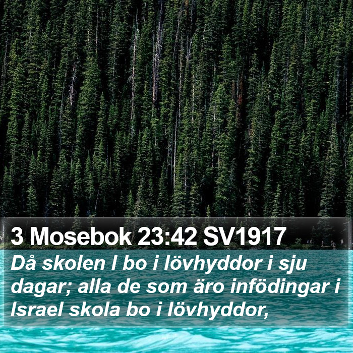 3 Mosebok 23:42 SV1917 Bible Study