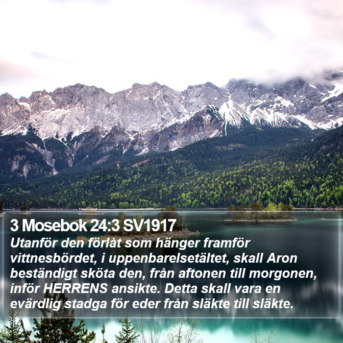 3 Mosebok 24:3 SV1917 Bible Study