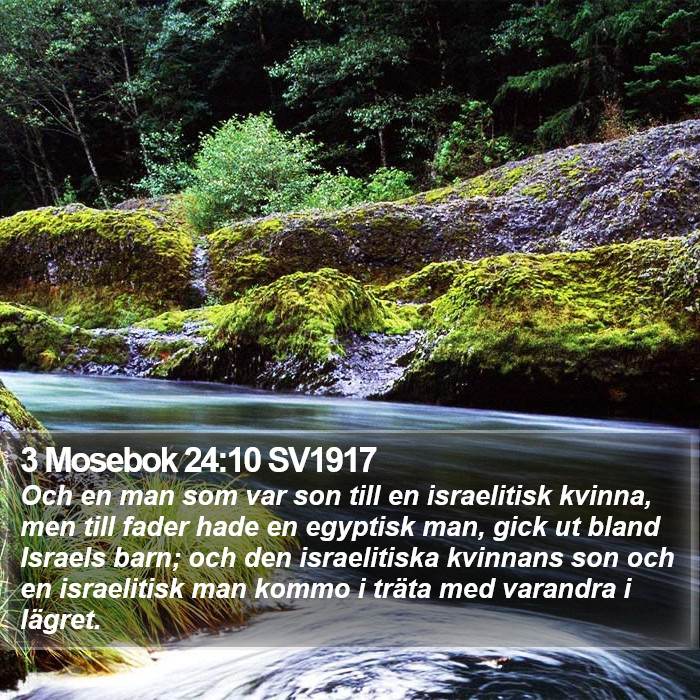 3 Mosebok 24:10 SV1917 Bible Study