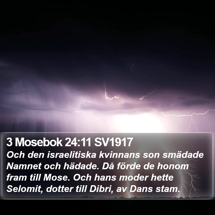 3 Mosebok 24:11 SV1917 Bible Study