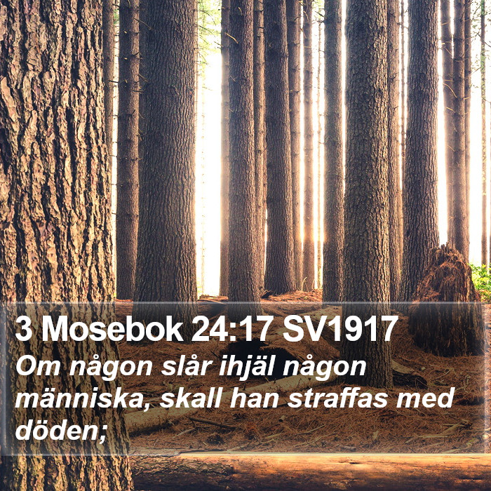 3 Mosebok 24:17 SV1917 Bible Study
