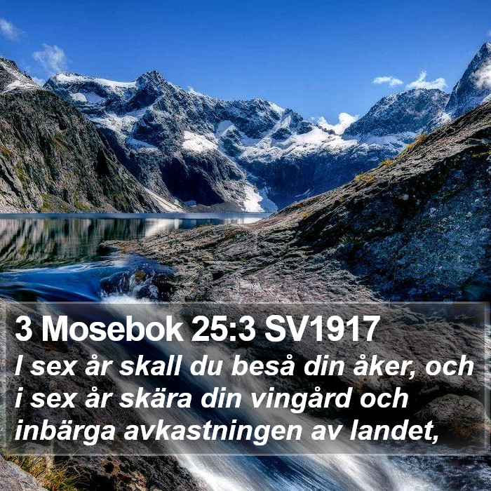 3 Mosebok 25:3 SV1917 Bible Study