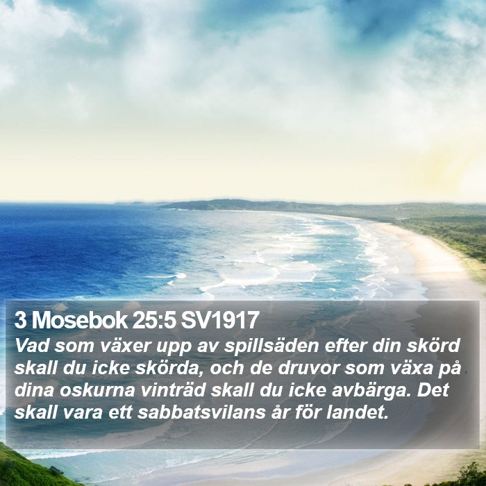3 Mosebok 25:5 SV1917 Bible Study