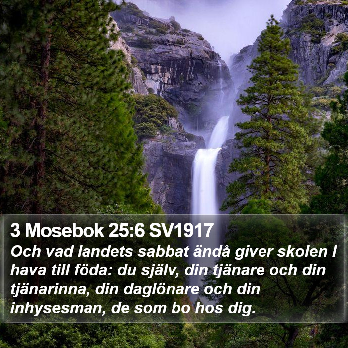 3 Mosebok 25:6 SV1917 Bible Study