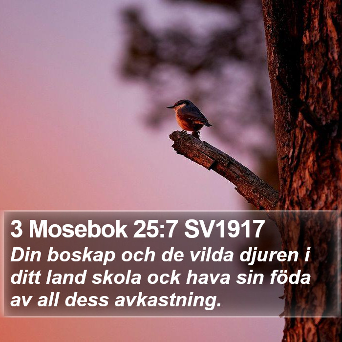 3 Mosebok 25:7 SV1917 Bible Study
