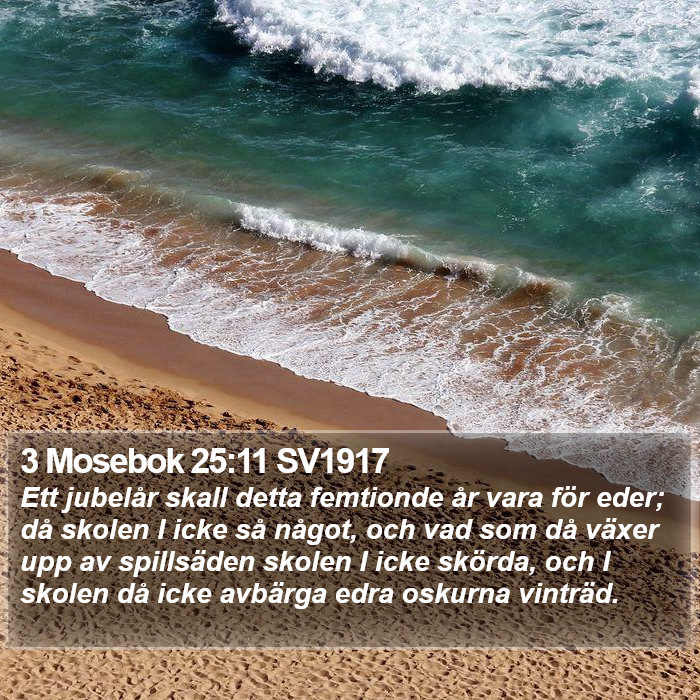 3 Mosebok 25:11 SV1917 Bible Study