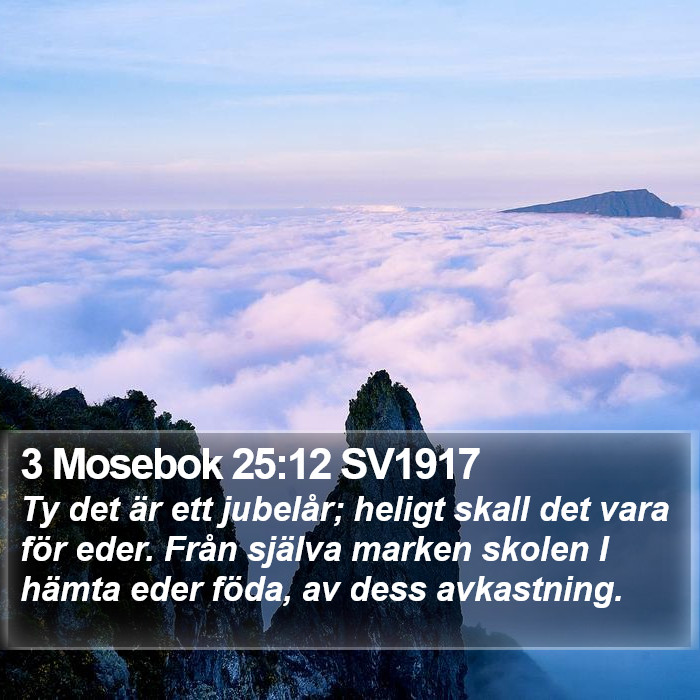 3 Mosebok 25:12 SV1917 Bible Study