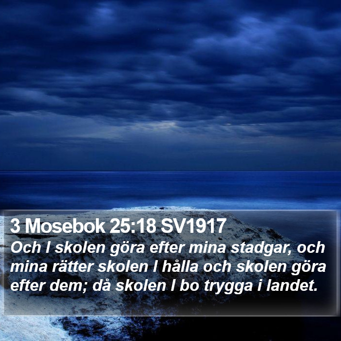 3 Mosebok 25:18 SV1917 Bible Study