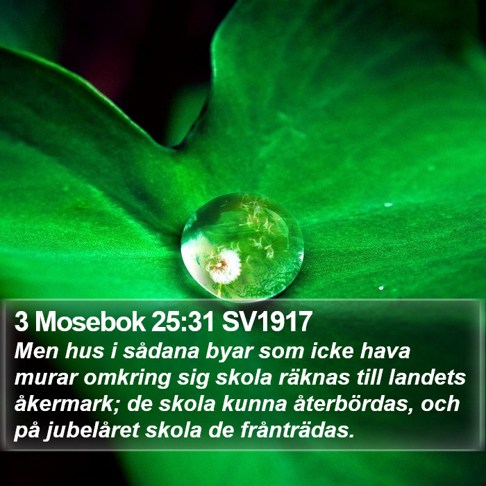 3 Mosebok 25:31 SV1917 Bible Study