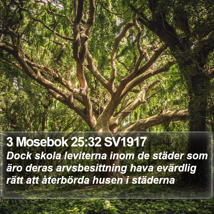 3 Mosebok 25:32 SV1917 Bible Study