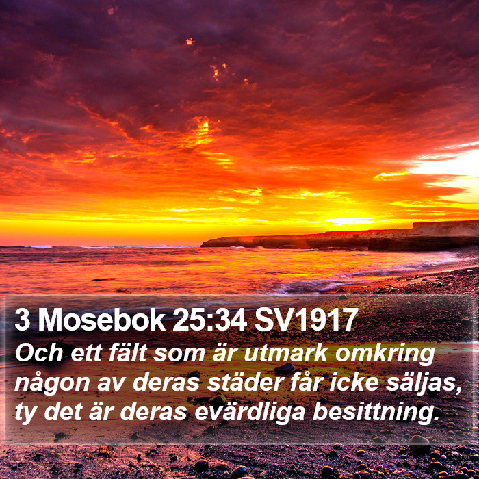 3 Mosebok 25:34 SV1917 Bible Study