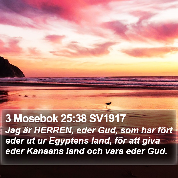 3 Mosebok 25:38 SV1917 Bible Study