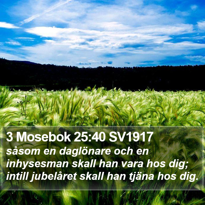 3 Mosebok 25:40 SV1917 Bible Study