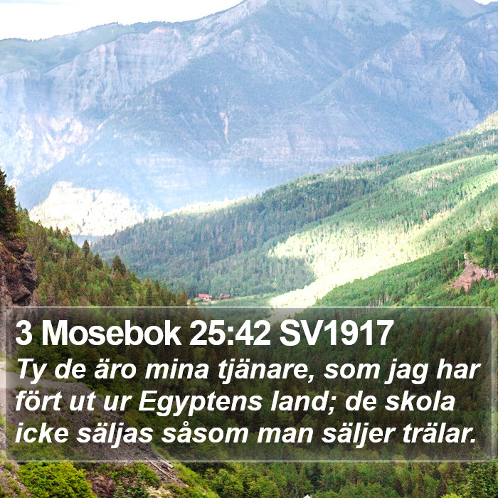 3 Mosebok 25:42 SV1917 Bible Study