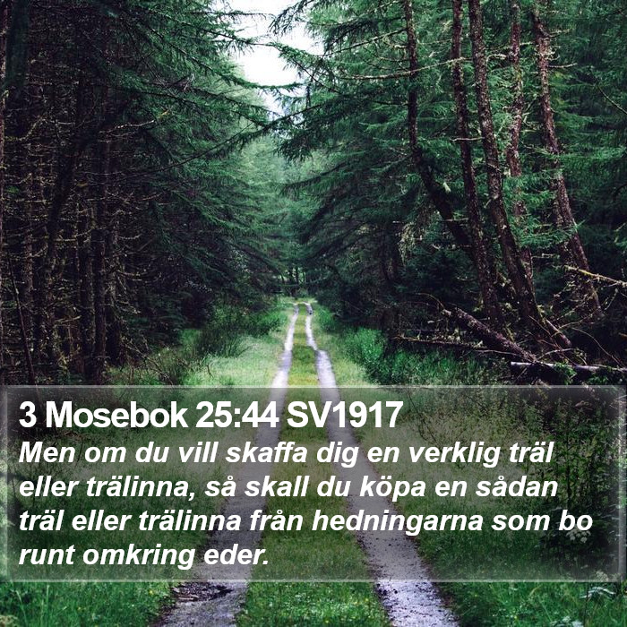 3 Mosebok 25:44 SV1917 Bible Study