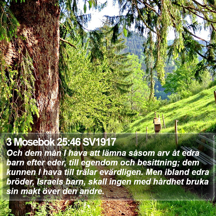 3 Mosebok 25:46 SV1917 Bible Study
