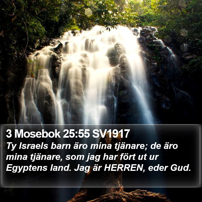 3 Mosebok 25:55 SV1917 Bible Study
