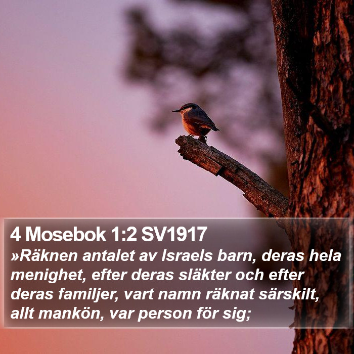 4 Mosebok 1:2 SV1917 Bible Study