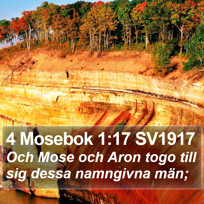 4 Mosebok 1:17 SV1917 Bible Study