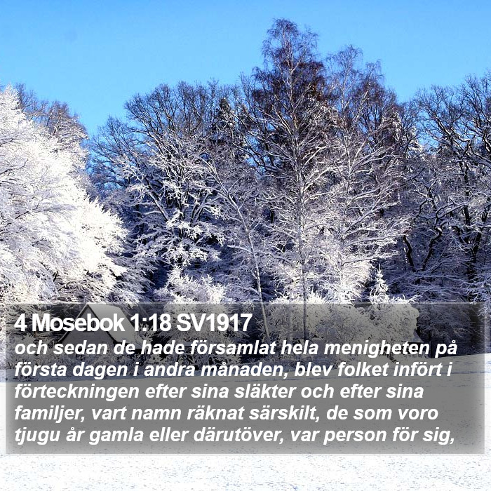 4 Mosebok 1:18 SV1917 Bible Study