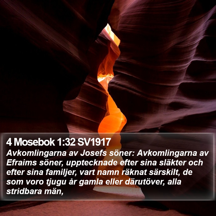 4 Mosebok 1:32 SV1917 Bible Study