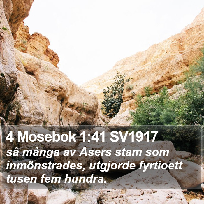 4 Mosebok 1:41 SV1917 Bible Study