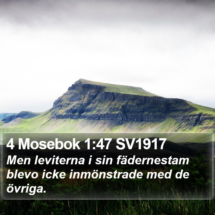 4 Mosebok 1:47 SV1917 Bible Study