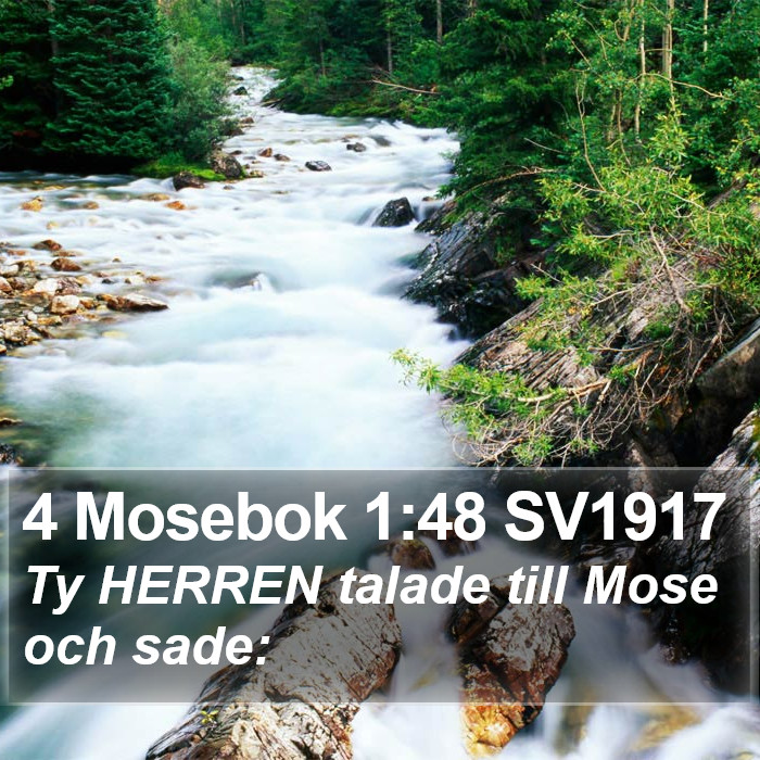 4 Mosebok 1:48 SV1917 Bible Study