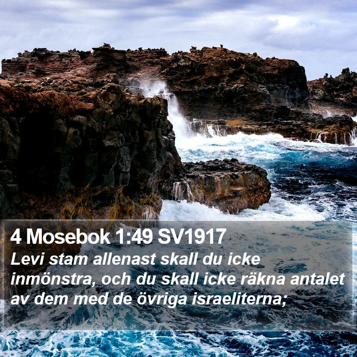 4 Mosebok 1:49 SV1917 Bible Study