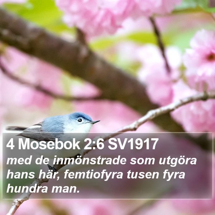 4 Mosebok 2:6 SV1917 Bible Study