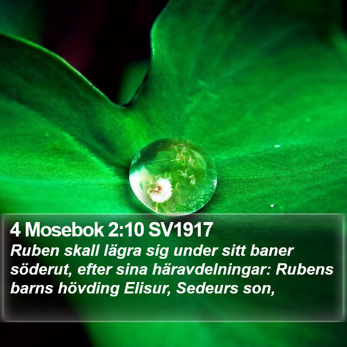 4 Mosebok 2:10 SV1917 Bible Study