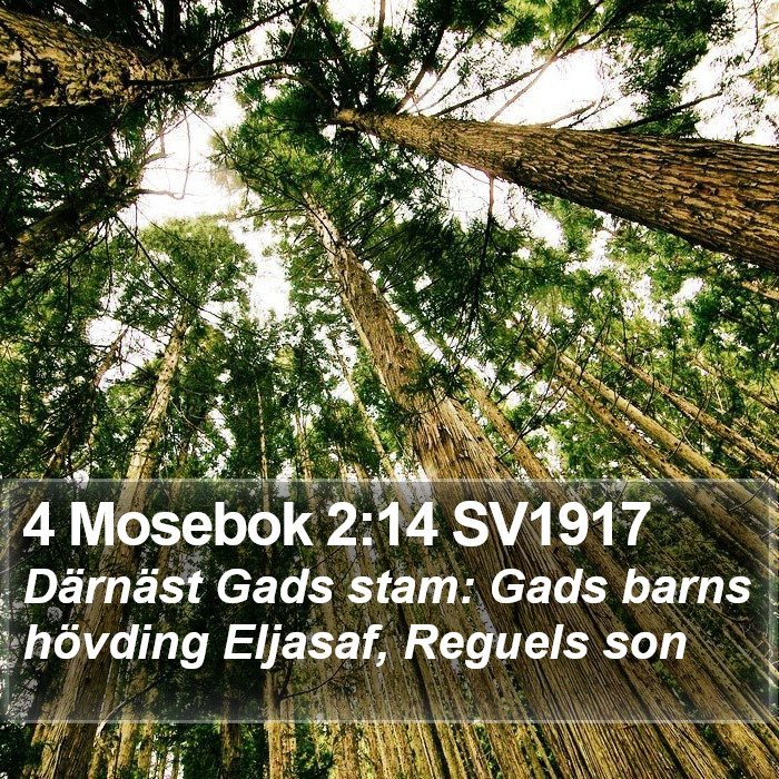 4 Mosebok 2:14 SV1917 Bible Study