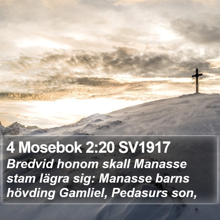 4 Mosebok 2:20 SV1917 Bible Study