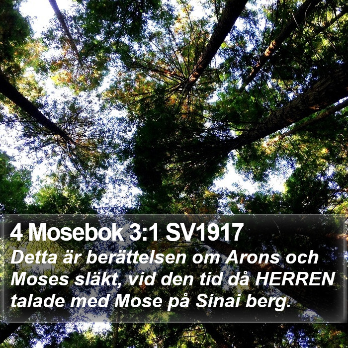 4 Mosebok 3:1 SV1917 Bible Study