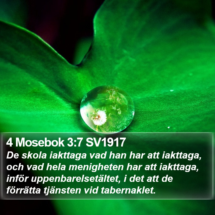 4 Mosebok 3:7 SV1917 Bible Study