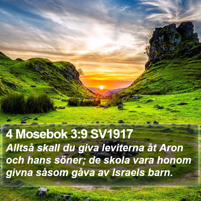 4 Mosebok 3:9 SV1917 Bible Study