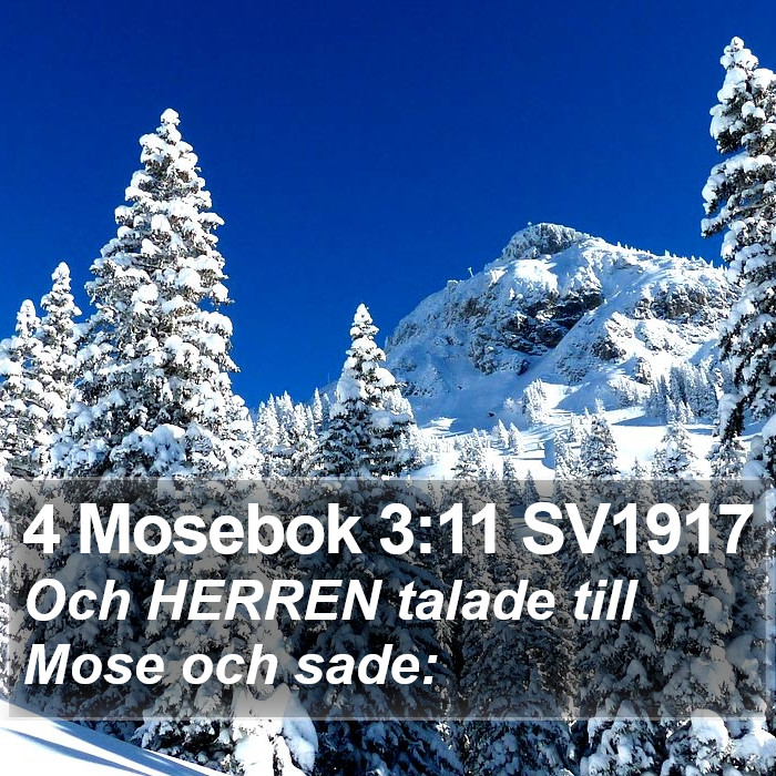 4 Mosebok 3:11 SV1917 Bible Study