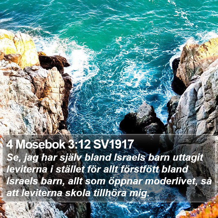 4 Mosebok 3:12 SV1917 Bible Study