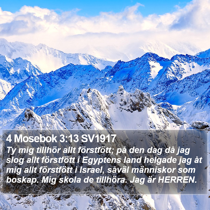 4 Mosebok 3:13 SV1917 Bible Study