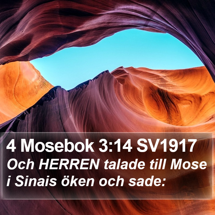 4 Mosebok 3:14 SV1917 Bible Study