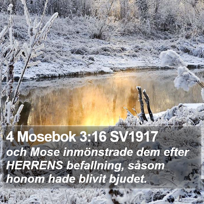 4 Mosebok 3:16 SV1917 Bible Study