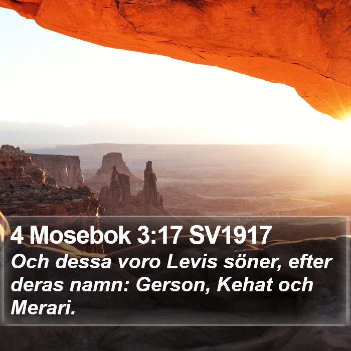 4 Mosebok 3:17 SV1917 Bible Study