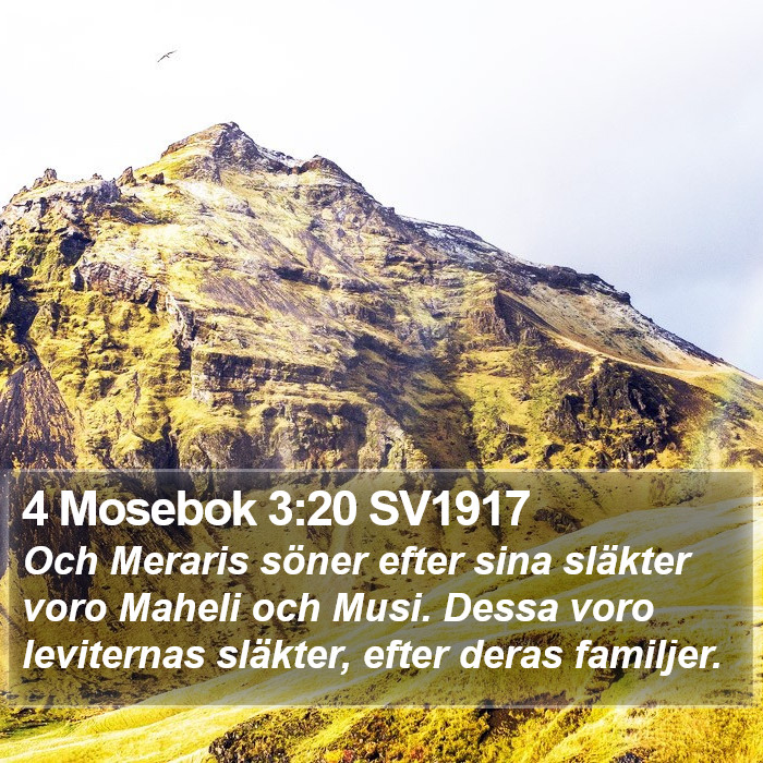 4 Mosebok 3:20 SV1917 Bible Study