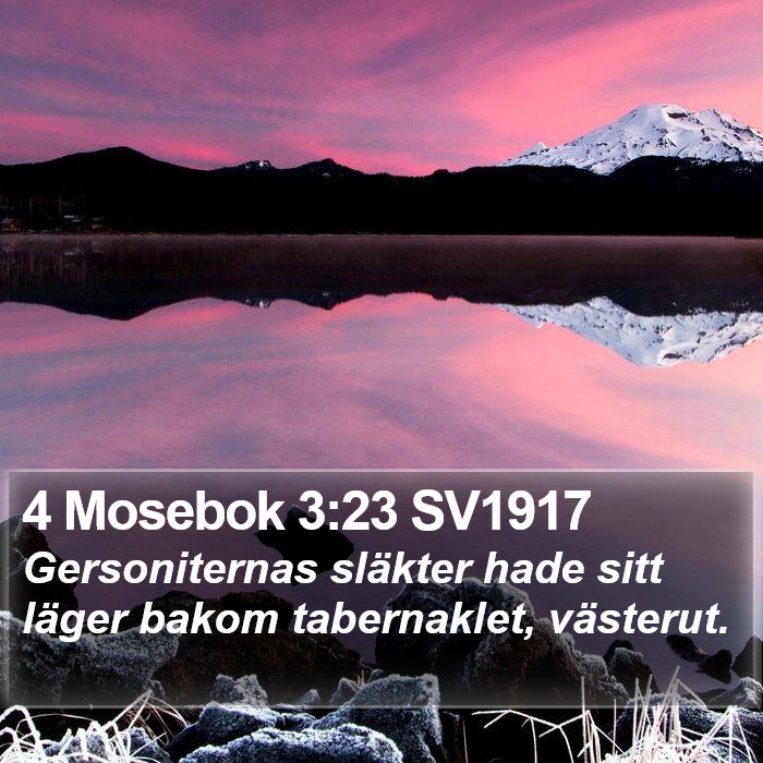 4 Mosebok 3:23 SV1917 Bible Study