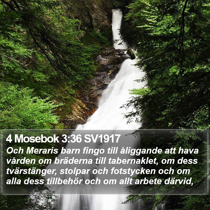 4 Mosebok 3:36 SV1917 Bible Study