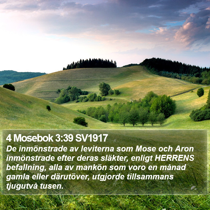 4 Mosebok 3:39 SV1917 Bible Study