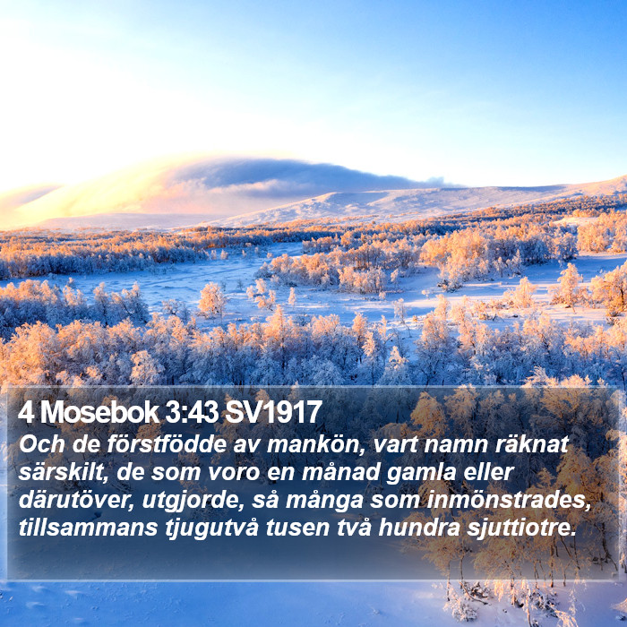 4 Mosebok 3:43 SV1917 Bible Study