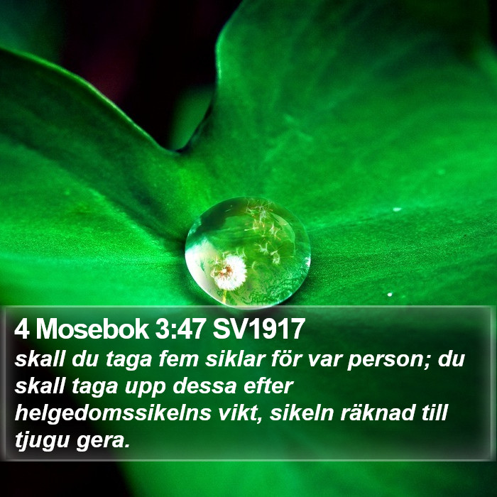 4 Mosebok 3:47 SV1917 Bible Study