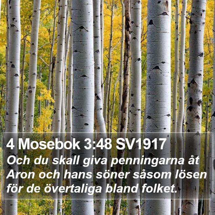 4 Mosebok 3:48 SV1917 Bible Study